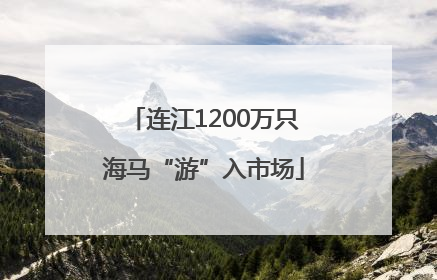 连江1200万只海马“游”入市场