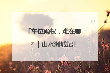 车位确权，难在哪？｜山水洲城记