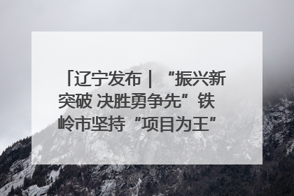 辽宁发布｜“振兴新突破 决胜勇争先”铁岭市坚持“项目为王”推进经济高质量发展