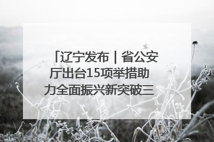 辽宁发布｜省公安厅出台15项举措助力全面振兴新突破三年行动决胜之战