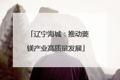 辽宁海城：推动菱镁产业高质量发展