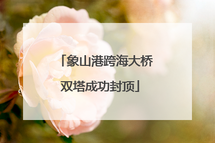象山港跨海大桥双塔成功封顶