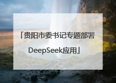 贵阳市委书记专题部署DeepSeek应用