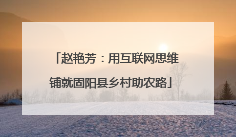 赵艳芳：用互联网思维铺就固阳县乡村助农路