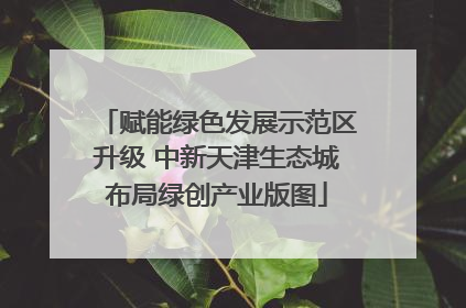 赋能绿色发展示范区升级 中新天津生态城布局绿创产业版图