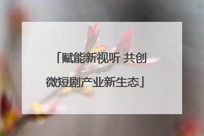 赋能新视听 共创微短剧产业新生态