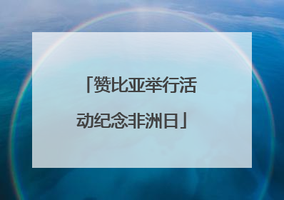 赞比亚举行活动纪念非洲日