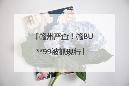 赣州严查！赣BU**99被抓现行