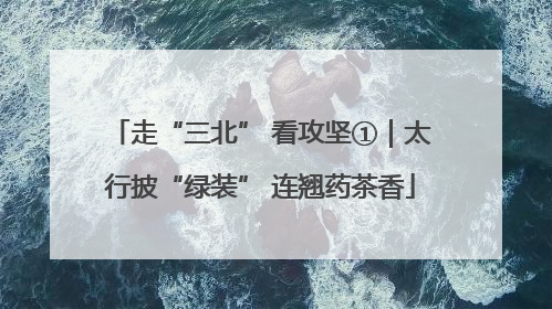 走“三北” 看攻坚①｜太行披“绿装” 连翘药茶香