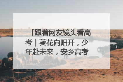 跟着网友镜头看高考｜葵花向阳开，少年赴未来，安乡高考首日的希望图景