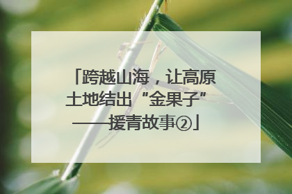 跨越山海，让高原土地结出“金果子”——援青故事②