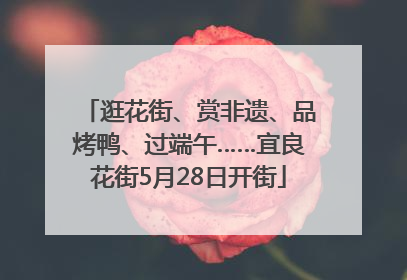 逛花街、赏非遗、品烤鸭、过端午……宜良花街5月28日开街