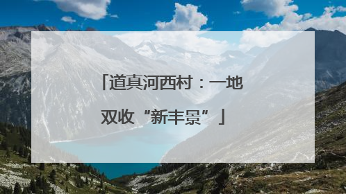 道真河西村：一地双收“新丰景”