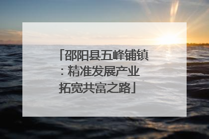 邵阳县五峰铺镇：精准发展产业 拓宽共富之路