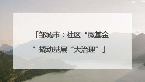 邹城市：社区“微基金”撬动基层“大治理”