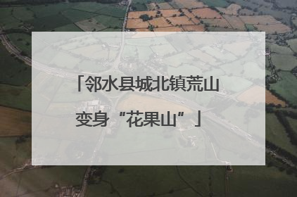 邻水县城北镇荒山变身“花果山”