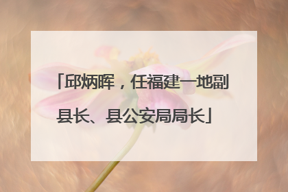 邱炳晖，任福建一地副县长、县公安局局长