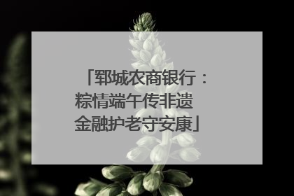 郓城农商银行：粽情端午传非遗 金融护老守安康