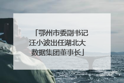 鄂州市委副书记汪小波出任湖北大数据集团董事长