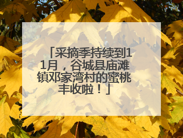 采摘季持续到11月，谷城县庙滩镇邓家湾村的蜜桃丰收啦！