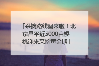 采摘路线图来啦！北京昌平近5000亩樱桃迎来采摘黄金期