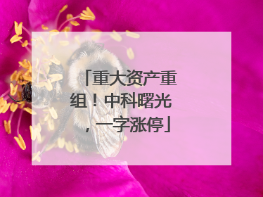 重大资产重组！中科曙光，一字涨停