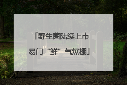 野生菌陆续上市 易门“鲜”气爆棚