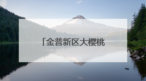 金普新区大樱桃闪耀上海！2025大连金普新区大樱桃推介会活动成功举办！