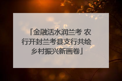 金融活水润兰考 农行开封兰考县支行共绘乡村振兴新画卷