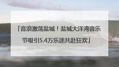 音浪激荡盐城！盐城大洋湾音乐节吸引5.4万乐迷共赴狂欢