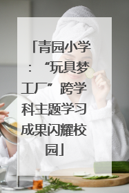 青园小学：“玩具梦工厂”跨学科主题学习成果闪耀校园