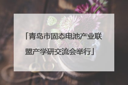 青岛市固态电池产业联盟产学研交流会举行