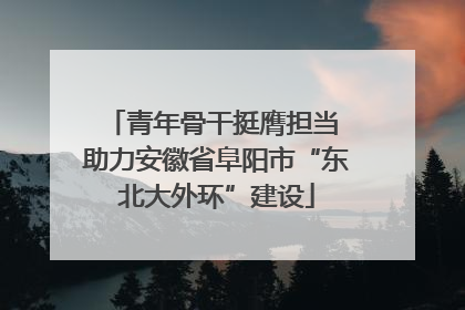 青年骨干挺膺担当 助力安徽省阜阳市“东北大外环”建设