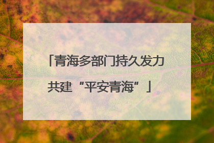 青海多部门持久发力共建“平安青海”