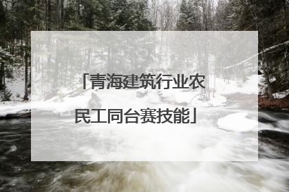 青海建筑行业农民工同台赛技能