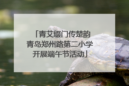青艾缀门传楚韵 青岛郑州路第二小学开展端午节活动