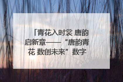 青花入时裳 唐韵启新章——“唐韵青花 数创未来”数字文创设计大赛启幕