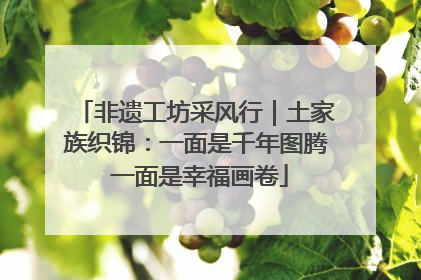 非遗工坊采风行｜土家族织锦：一面是千年图腾 一面是幸福画卷