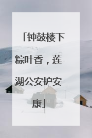 钟鼓楼下粽叶香，莲湖公安护安康