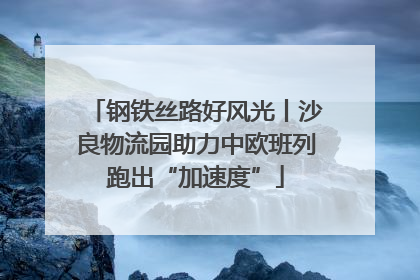 钢铁丝路好风光丨沙良物流园助力中欧班列跑出“加速度”