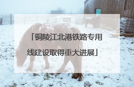 铜陵江北港铁路专用线建设取得重大进展
