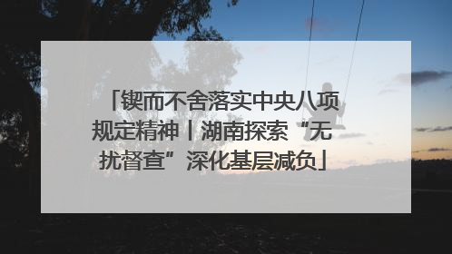 锲而不舍落实中央八项规定精神丨湖南探索“无扰督查”深化基层减负