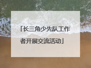 长三角少先队工作者开展交流活动