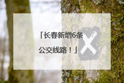 长春新增6条公交线路！