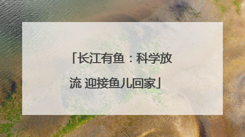 长江有鱼：科学放流 迎接鱼儿回家