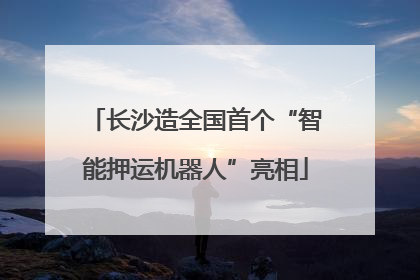长沙造全国首个“智能押运机器人”亮相