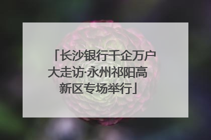 长沙银行千企万户大走访·永州祁阳高新区专场举行