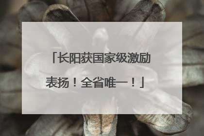 长阳获国家级激励表扬！全省唯一！