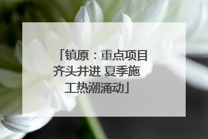 镇原：重点项目齐头并进 夏季施工热潮涌动
