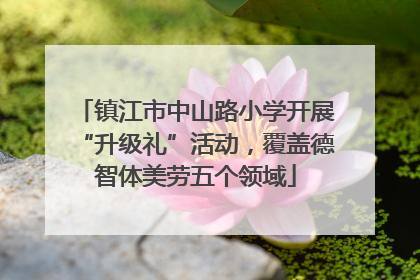 镇江市中山路小学开展“升级礼”活动，覆盖德智体美劳五个领域